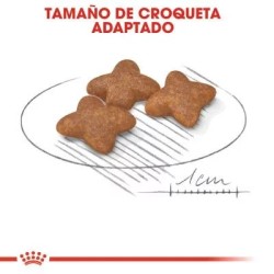 Royal Canin Mini Adult 2 kg | Pienso Perros Señaris