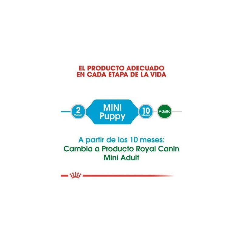 Royal Canin Mini Puppy 2 kg | Pienso Cachorros Señaris