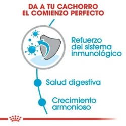 Royal Canin Mini Puppy 2 kg | Pienso Cachorros Señaris