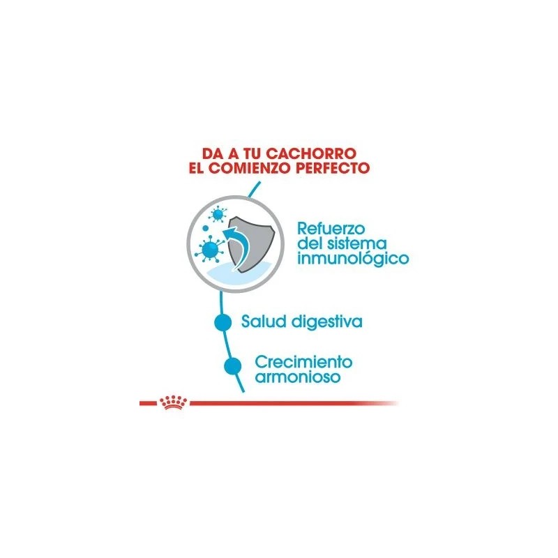 Royal Canin Mini Puppy 2 kg | Pienso Cachorros Señaris