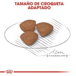 Royal Canin Mini Puppy 2 kg | Pienso Cachorros Señaris