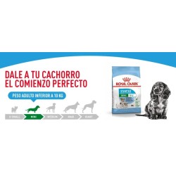 Royal Canin Mini Puppy 2 kg | Pienso Cachorros Señaris