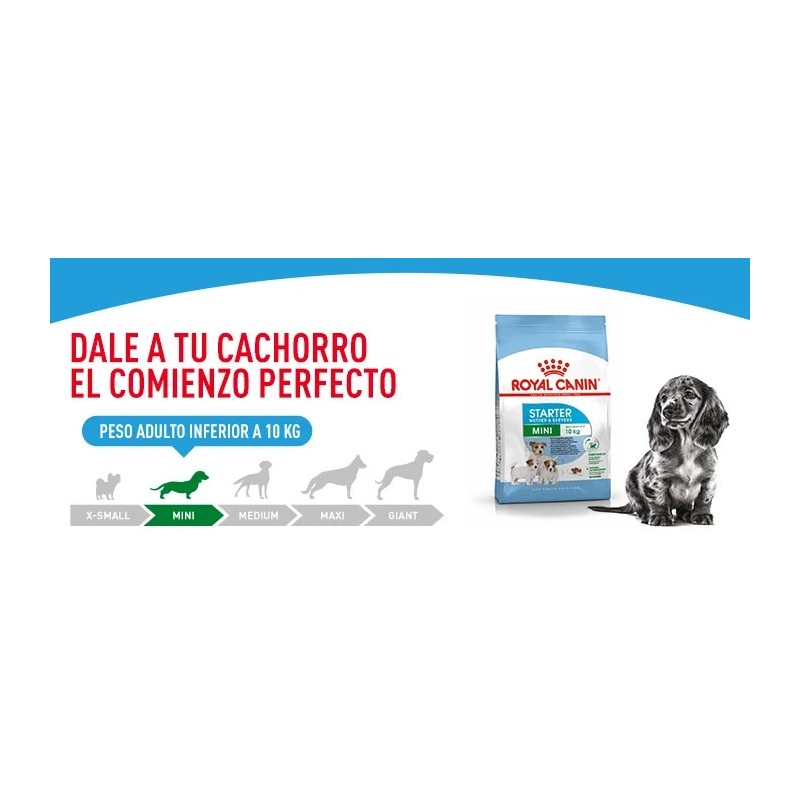 Royal Canin Mini Puppy 2 kg | Pienso Cachorros Señaris