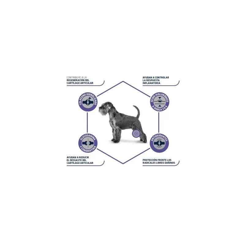 Snack Advance Articular Stick para Perros | Señaris