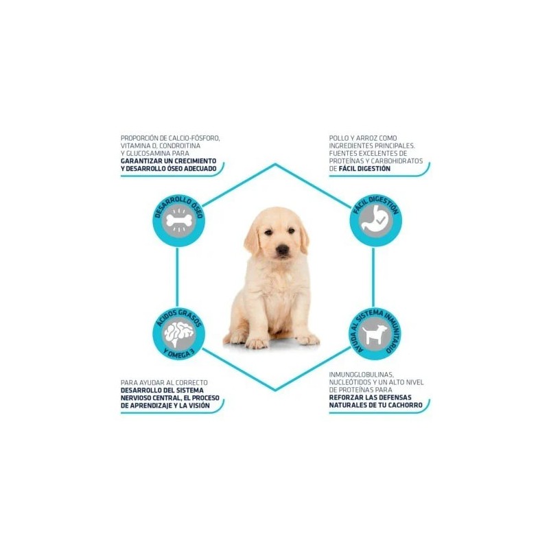 Snack Advance Puppy para Cachorros | Premios Señaris