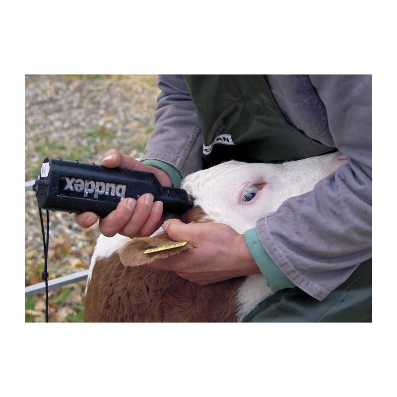 Descornador a Batería Buddex – Manejo Seguro de Ganado | Grupo Señaris