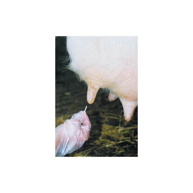 Dilatador de Mamas de Cera 6unid – Cuidado Ganadero | Grupo Señaris