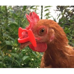 Gafas Anti-Picaje – Protección para Aves | Grupo Señaris