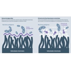 Farmalac 1Kg – Pienso Dietético Complementario | Grupo Señaris