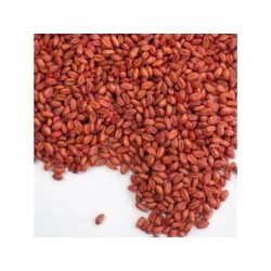 Ratibrom 2 Grano Cereales 150g – Raticida | Grupo Señaris