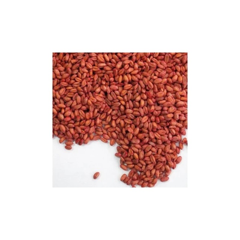 Ratibrom 2 Grano Cereales 150g – Raticida | Grupo Señaris