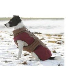 Abrigo para Perros Royal – Protección y Comodidad | Grupo Señaris