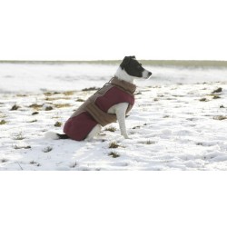 Abrigo para Perros Royal – Protección y Comodidad | Grupo Señaris