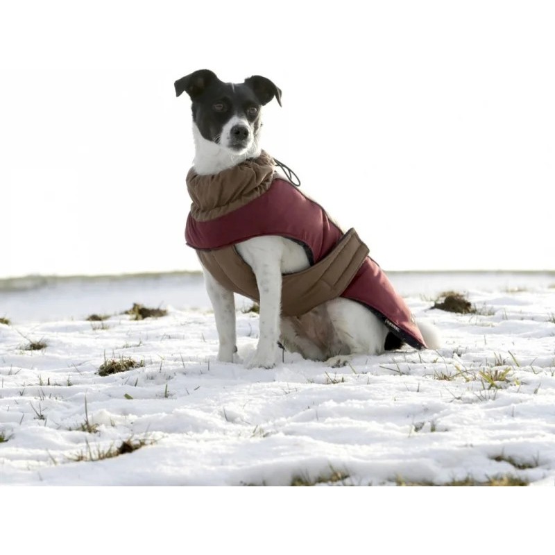 Abrigo para Perros Royal – Protección y Comodidad | Grupo Señaris