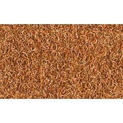 Alimento Natural para Tortugas Acuáticas – Grupo Señaris