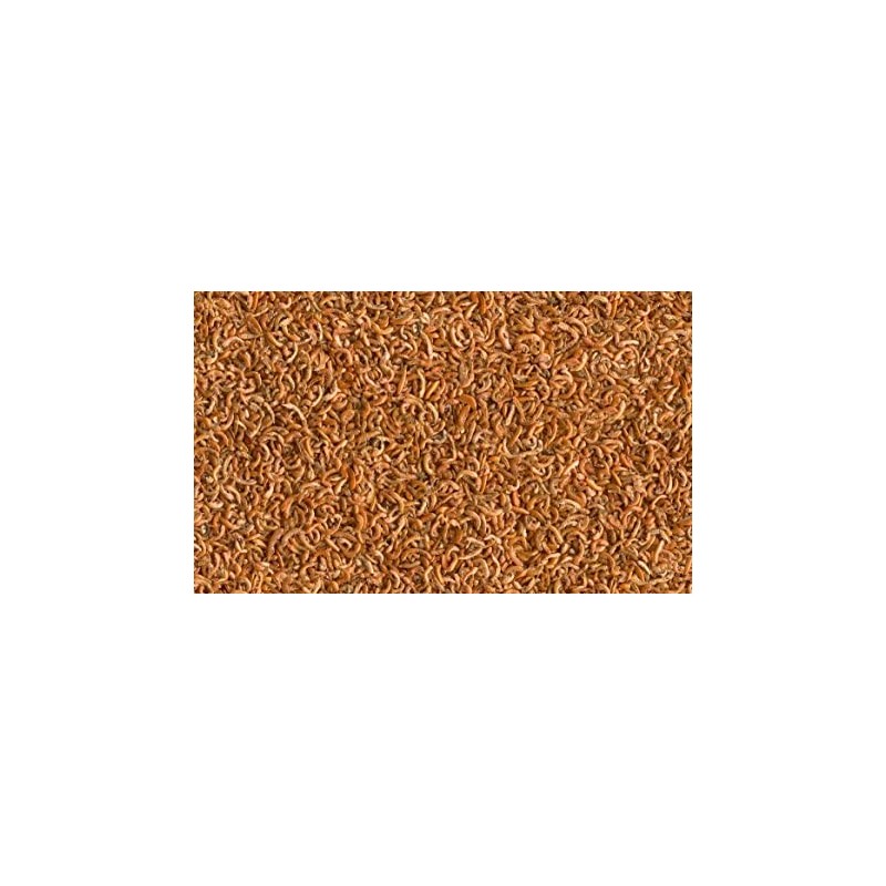 Alimento Natural para Tortugas Acuáticas – Grupo Señaris