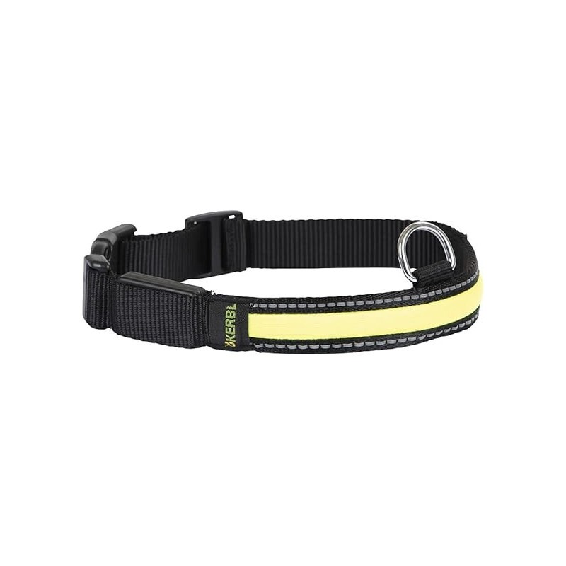 Collar para Perro con Luz y Reflectante – Seguridad Canina | Grupo Señaris