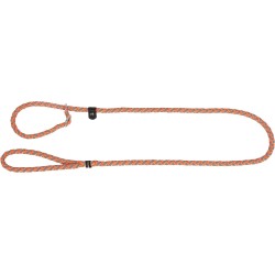 Correa y Collar de Adiestramiento de Nylon – Perros | Grupo Señaris