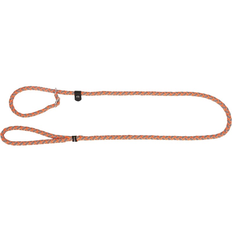 Correa y Collar de Adiestramiento de Nylon – Perros | Grupo Señaris