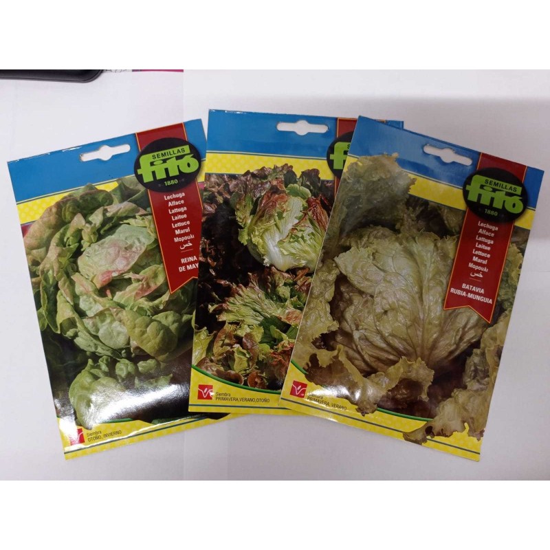 Semillas de Lechuga – Variedades Hortícolas | Grupo Señaris