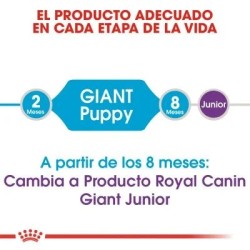 Royal Canin Puppy Giant 15 kg | Pienso Cachorros | Señaris