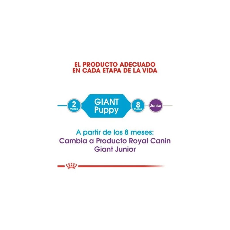 Royal Canin Puppy Giant 15 kg | Pienso Cachorros | Señaris