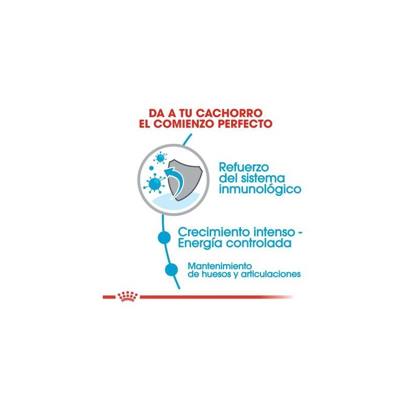 Royal Canin Puppy Giant 15 kg | Pienso Cachorros | Señaris