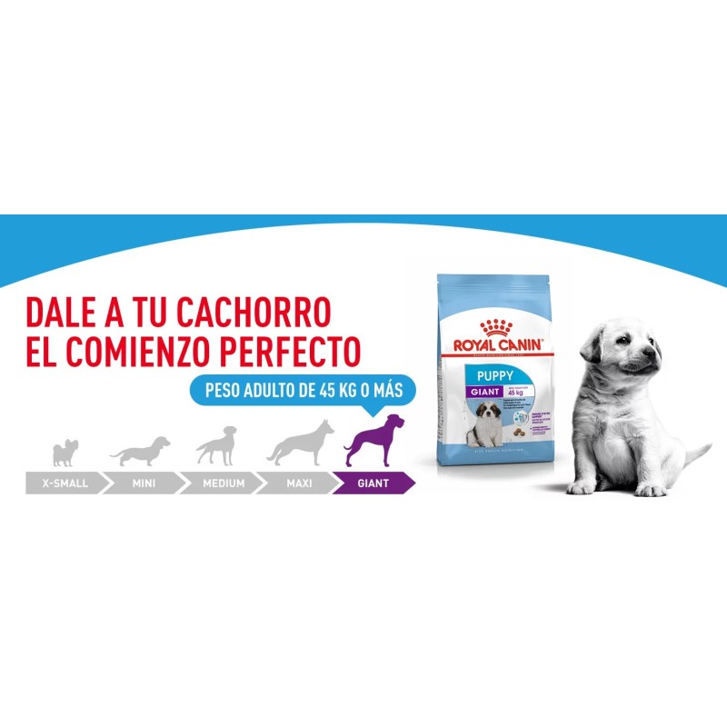 Royal Canin Puppy Giant 15 kg | Pienso Cachorros | Señaris