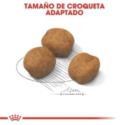 Royal Canin Puppy Giant 15 kg | Pienso Cachorros | Señaris