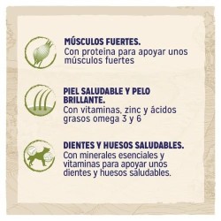 Dog Chow Adulto Pollo 14 kg | Pienso Perros Señaris